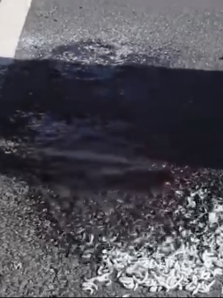 Thermapatch Pothole Repair Gallery Image 6 | Conway Contractors